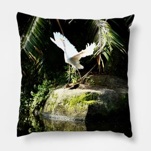 Grus taking off Pillow