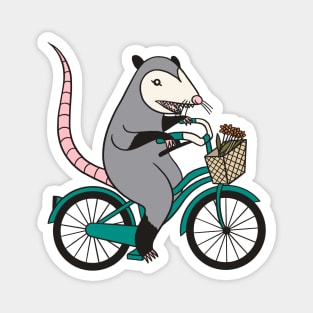 Possum on a Bicycle Magnet