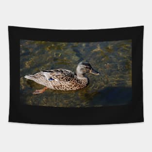 'ello Duck Tapestry