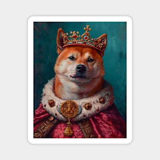 Shiba Inu The King Magnet