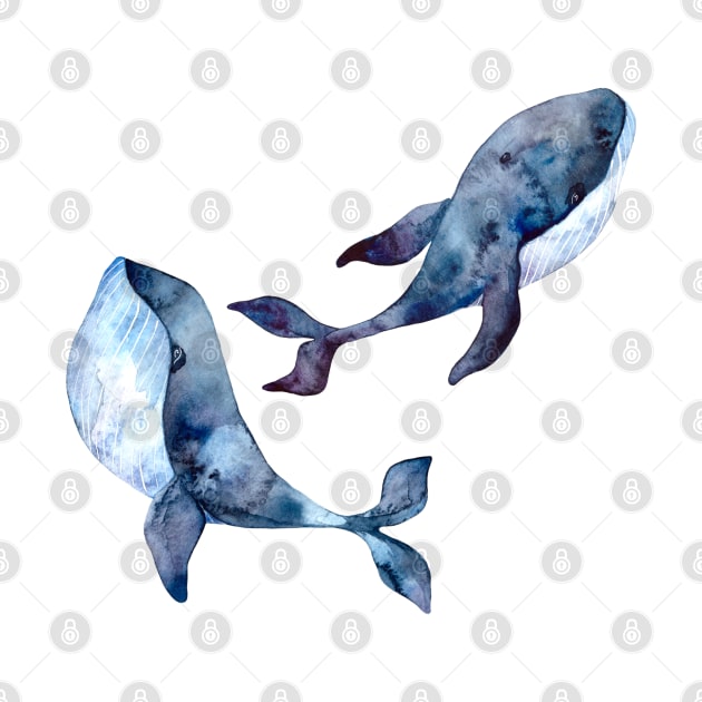 beautiful blue whales swimming in the ocean by A&A