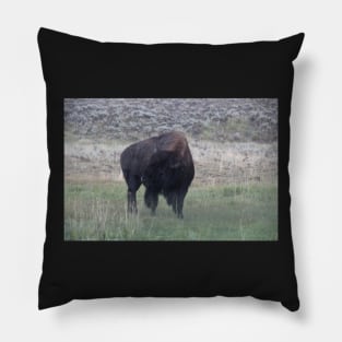 Bison in the rain Pillow