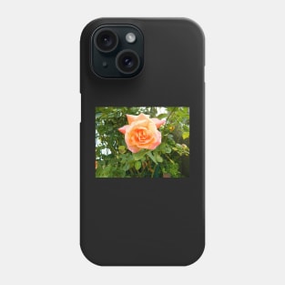 Rose Phone Case