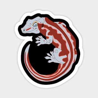 Red and White Stripe Gargoyle Gecko Magnet