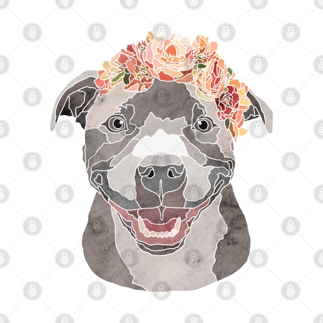 Pitbull by Roguish Design