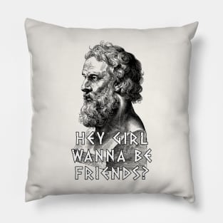 Platonic Friendship Pillow