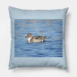 Northern pintail duck, wild birds, wildlife gifts Pillow