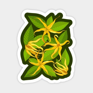 Ylang Ylang Exotic Scented Flowers and Leaves Magnet