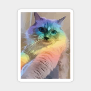 rainbow cat Magnet