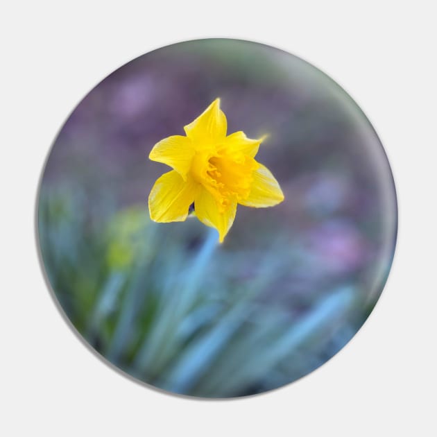 Daffodil Pin by Nicholas Lee