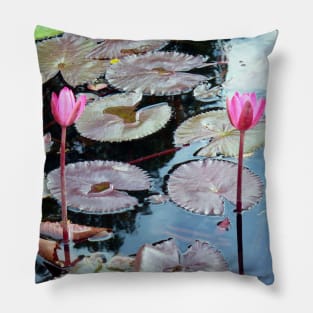 Pink Waterlilies in a Pond Pillow