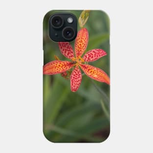 Blackberry Lily Red Orange Yellow Flower with Raindrops Phone Case