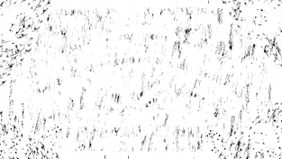 Ouija by Allie Hartley Magnet