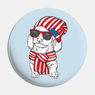 dog hat scarf USA Pin