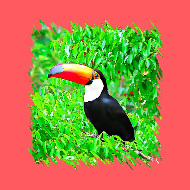 Toco Toucan In The Jungle by PhotoArts