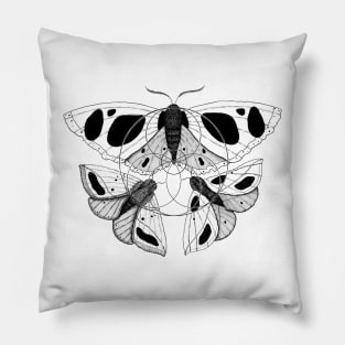 Allopatric Gallery Pillow