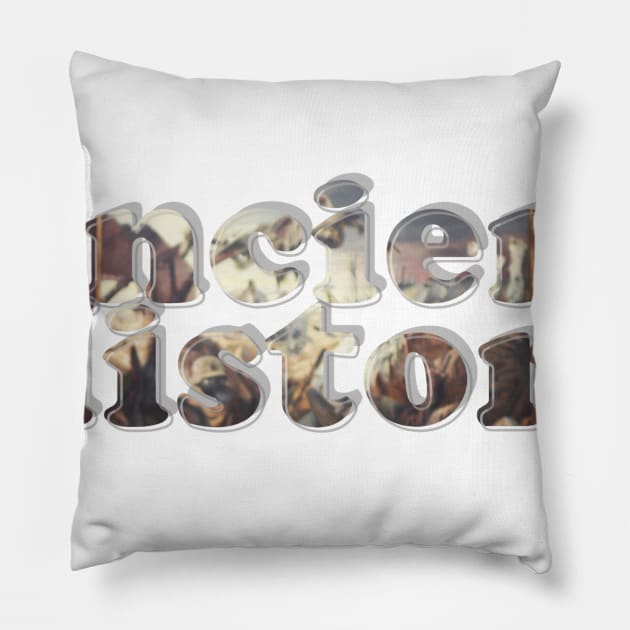 Ancient History Pillow by afternoontees