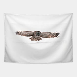 Silent Hunter - Great Grey Owl Tapestry