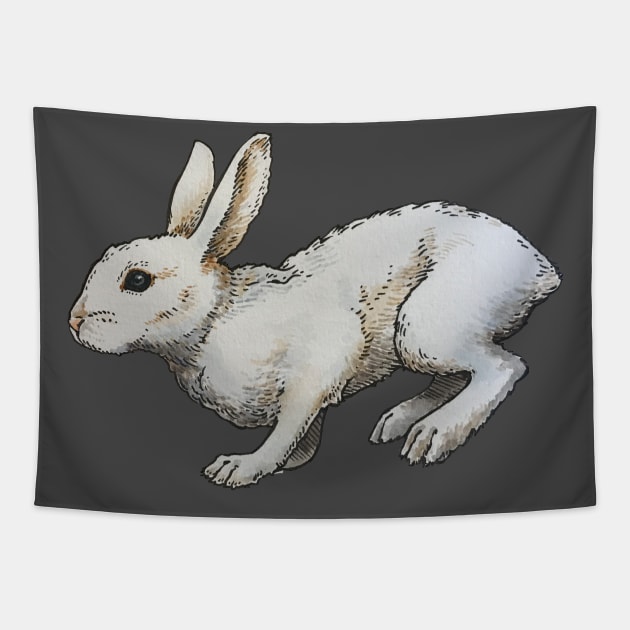 Snowshoe Hare Tapestry by calebfaires