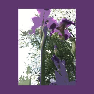 Giant Iris Stalks, photography and digital T-Shirt