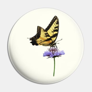 Tiger Swallowtail on Aster Pin