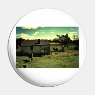 The Cow Pasture Pin