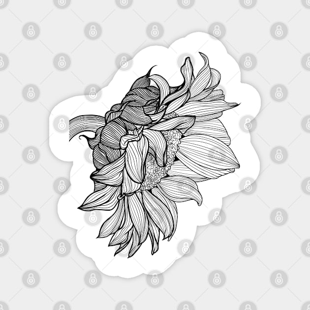 sunflower line draw Magnet by Kuchinska design