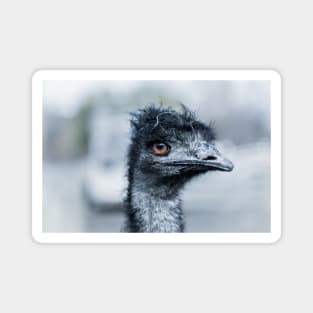 Portrait of a Pet Emu Magnet