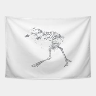 Baby Plover Tapestry