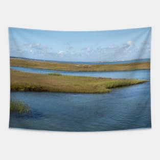 A beautiful view of the Salt Marshes, Gray's Beach Tapestry