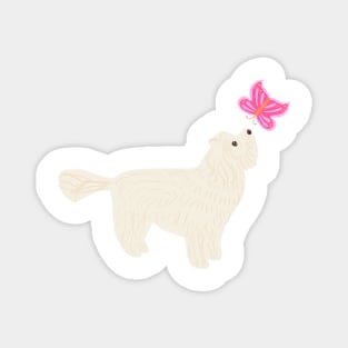 Maltipoo Magnet