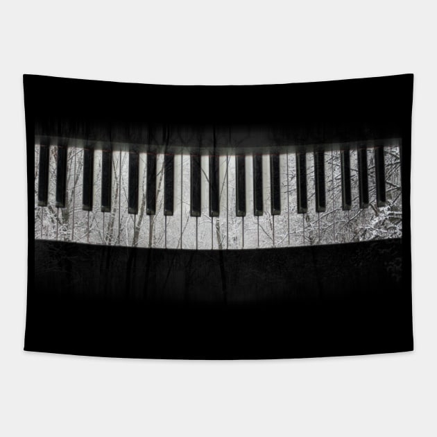 Winter Piano Tapestry by Voice0Reason