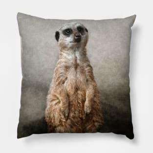 Meerkat in the Mist Pillow