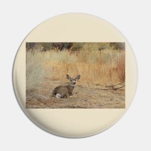 Deer, Wildlife, Mule Deer, Buck, Nature, Gifts Pin