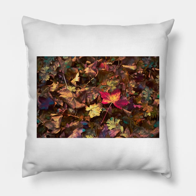 Colors 172 Pillow by secretgardener