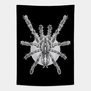 tarantula Tapestry