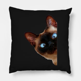 Cute Peeking Cat Pillow