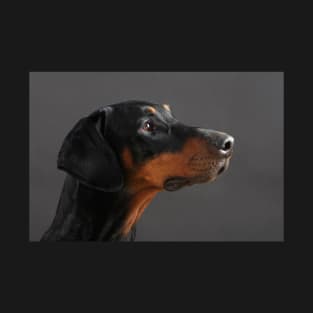 Doberman Pinscher Portrait T-Shirt