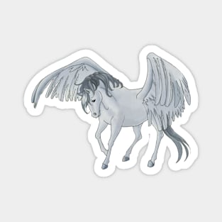 Pegasus 20 Magnet