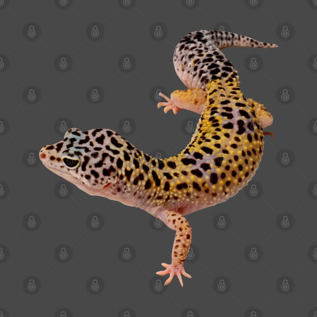 Leopard Gekko by NerdsbyLeo