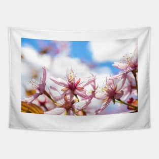 Cherry Blossom Tapestry