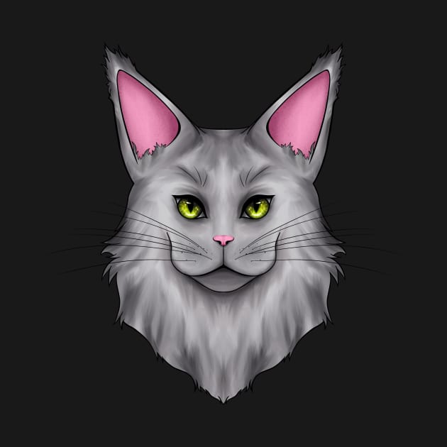 Gray Mainecoon Cat by Cat Club