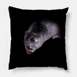 Ground cuscus Pillow