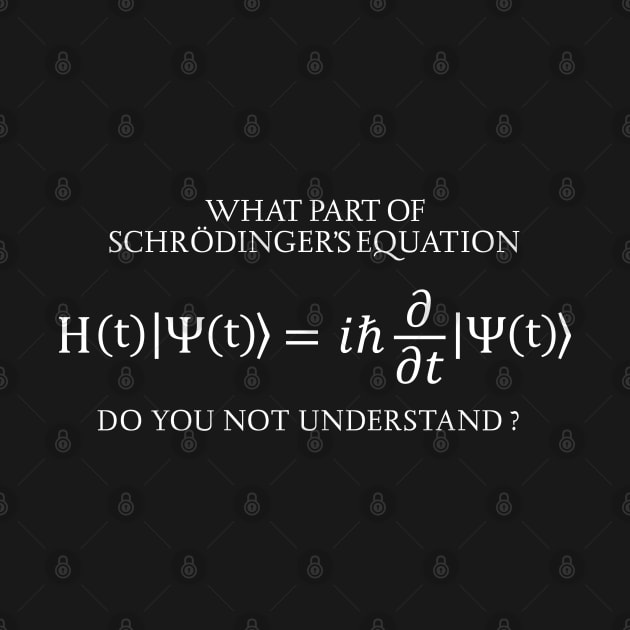 the Schrödinger Equation by ScienceCorner