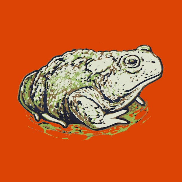 Toad by nathanshields