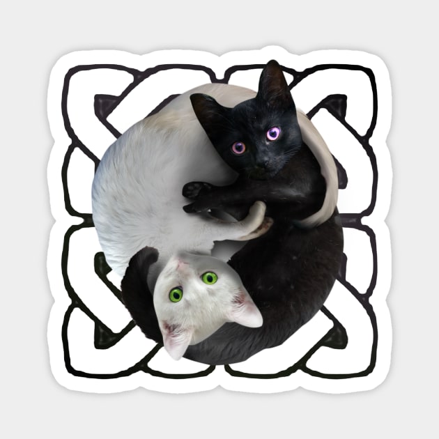 Yin Yang Cats Magnet by Random Galaxy