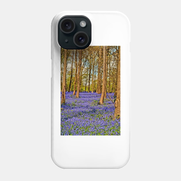 Bluebell Woods Greys Court Oxfordshire England Phone Case by AndyEvansPhotos