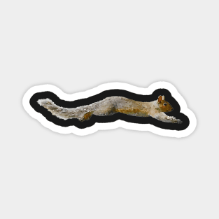 Gray Squirrel Leaping Grey Squirrels Magnet