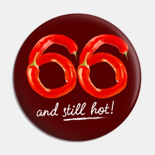 66th Birthday Gifts - 66 Years and still Hot Pin