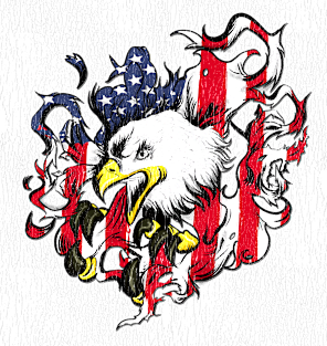 American Flag and Eagle USA Patriot Veteran Pride T Shirt Magnet